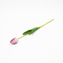 NATURAL TOUCH TULIP - 23.5 INCH - LAVENDER