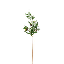 OLIVE STEM - 32 INCH