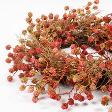 GLOBE AMARANTH WREATH - 26 INCH