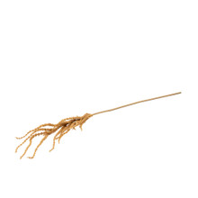 Hanging Amaranthus Spray Buff 39 Inch