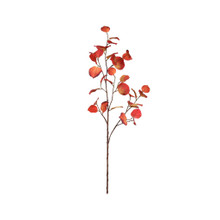 Aspen Leaf Spray Spice 35 Inch