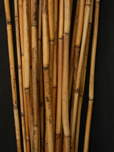 RIVER CANE - NATURAL - 3.5' - 12 BUNCHES