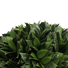 Bay Laurel Ball Everlux UV 18 Inch