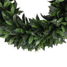 Bay Laurel Wreath Everlux UV 23 Inch