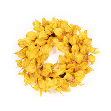 Golden Birch Wreath 24 Inch