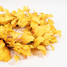 Golden Birch Wreath 24 Inch