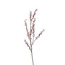 Winterberry Branch Red 40 Inch