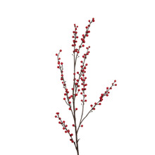 Winterberry Branch Red 40 Inch