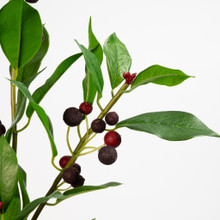 Chokeberry Spray Wine 31 Inch