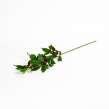 Chokeberry Spray Wine 31 Inch