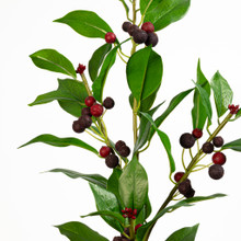 Chokeberry Spray Wine 31 Inch
