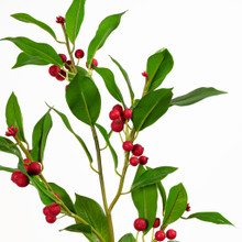 Chokeberry Spray Red 31 Inch