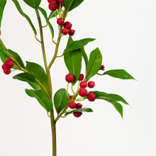Chokeberry Spray Red 31 Inch