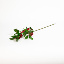 Chokeberry Spray Red 31 Inch