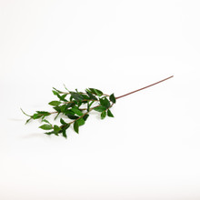 Laurel Leaf Branch 40 Inch