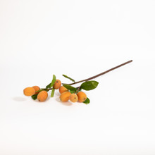 Loquat Fruit Branch 34 Inch