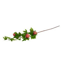 Passion Fruit Spray Plum 47 Inch