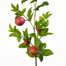 Passion Fruit Spray Plum 47 Inch