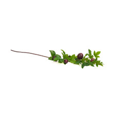 Passion Fruit Spray Purple 47 Inch