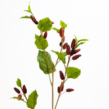 Mulberry Spray 45 Inch