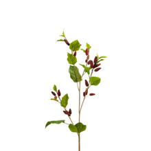 Mulberry Spray 45 Inch