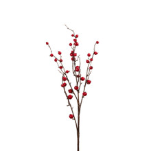 Rosehip Twig Spray 35 Inch