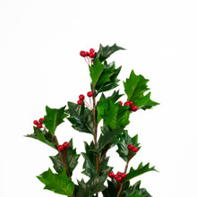 Holly Berry Stem 30 Inch