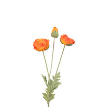 Poppy Spray Orange Real Touch 3 Head 27 Inch