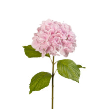 Garden Hydrangea Stem Soft Pink Real Touch 24 Inch