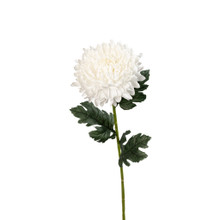 Chrysanthemum Stem White Real Touch 27 Inch