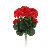 Geranium UV Bush 15 Inch Red