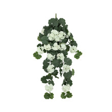 Geranium Hanging UV Plant 30 Inch White