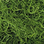SPANISH MOSS - GREEN - 1.24 CUBIC FT