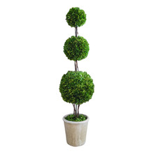 PRESERVED BOXWOOD TOPIARY - TRIPLE BALL - 59 INCH