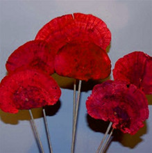 SPONGE MUSHROOMS - STEM - RED