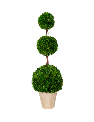 PRESERVED BOXWOOD TOPIARY - TRIPLE BALL - 40 INCH