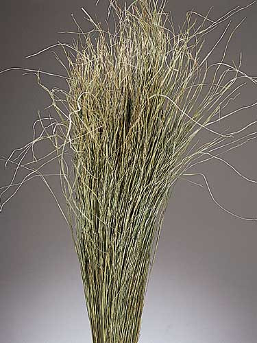 MEADOW GRASS - NATURAL - 12 BUNCHES