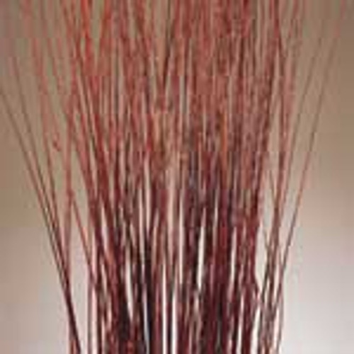 ASIAN WILLOW NATURAL - 5' - 100 PCS