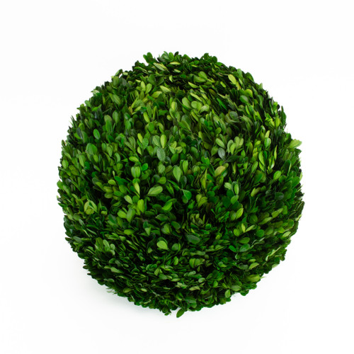Boxwood Ball Preserved 16 Inch
