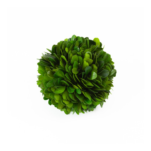 PRESERVED BOXWOOD BALL - 4"