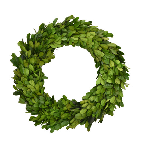 PRESERVED BOXWOOD MINI WREATH - 10 INCH