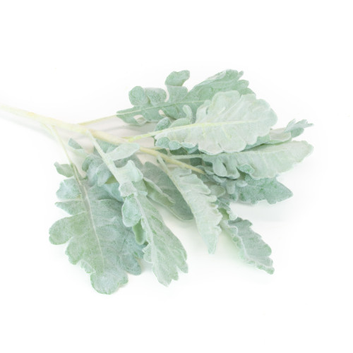 DUSTY MILLER SPRAY - GREEN - 17 INCH