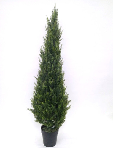 CYPRESS CONE TREE 5' (UV) FAUX