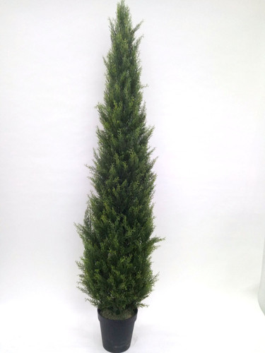 CYPRESS CONE TREE 6' (UV) FAUX