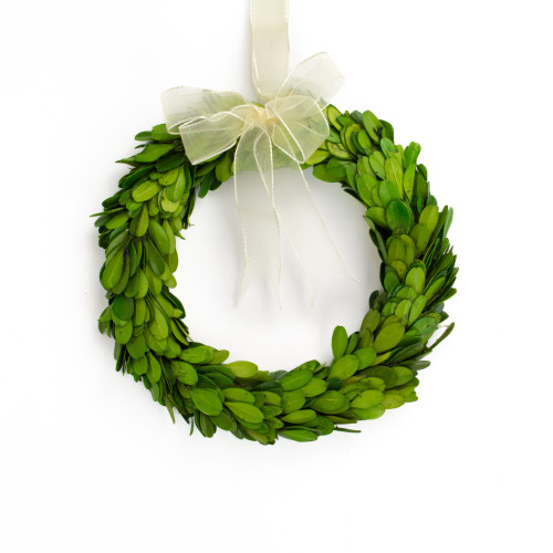PRESERVED BOXWOOD WREATH - ROUND WITH RIBBON - 8"