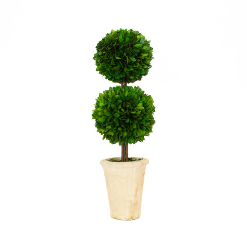 PRESERVED BOXWOOD TOPIARY - DOUBLE BALL - 20 INCH