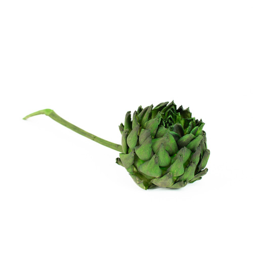 ARTICHOKES GREEN DYED - 20 PIECES