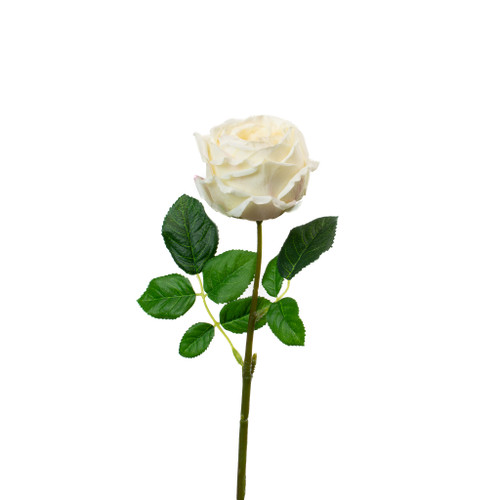 REAL TOUCH CHAMPAGNE 17" ENGLISH ROSE