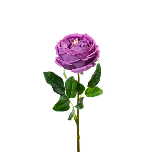 REAL TOUCH LILAC 17" ENGLISH ROSE