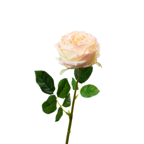 REAL TOUCH BLUSH PINK 17" ENGLISH ROSE